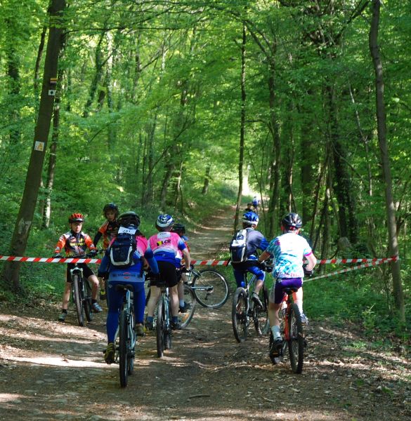 gal/VTT 2007/Coupe_de_Lorraine_Blenod/Coupe de lorraine Blenod 2007 012.jpg